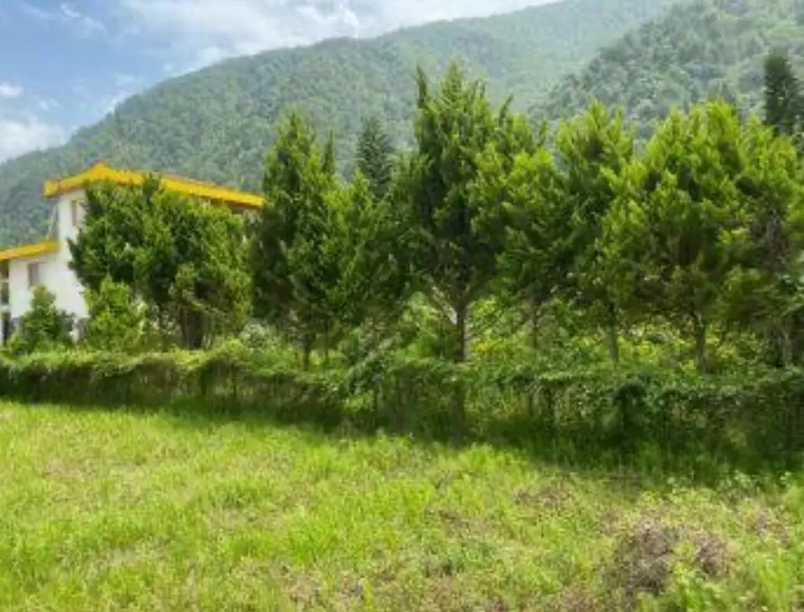 الجواد قایق سازی