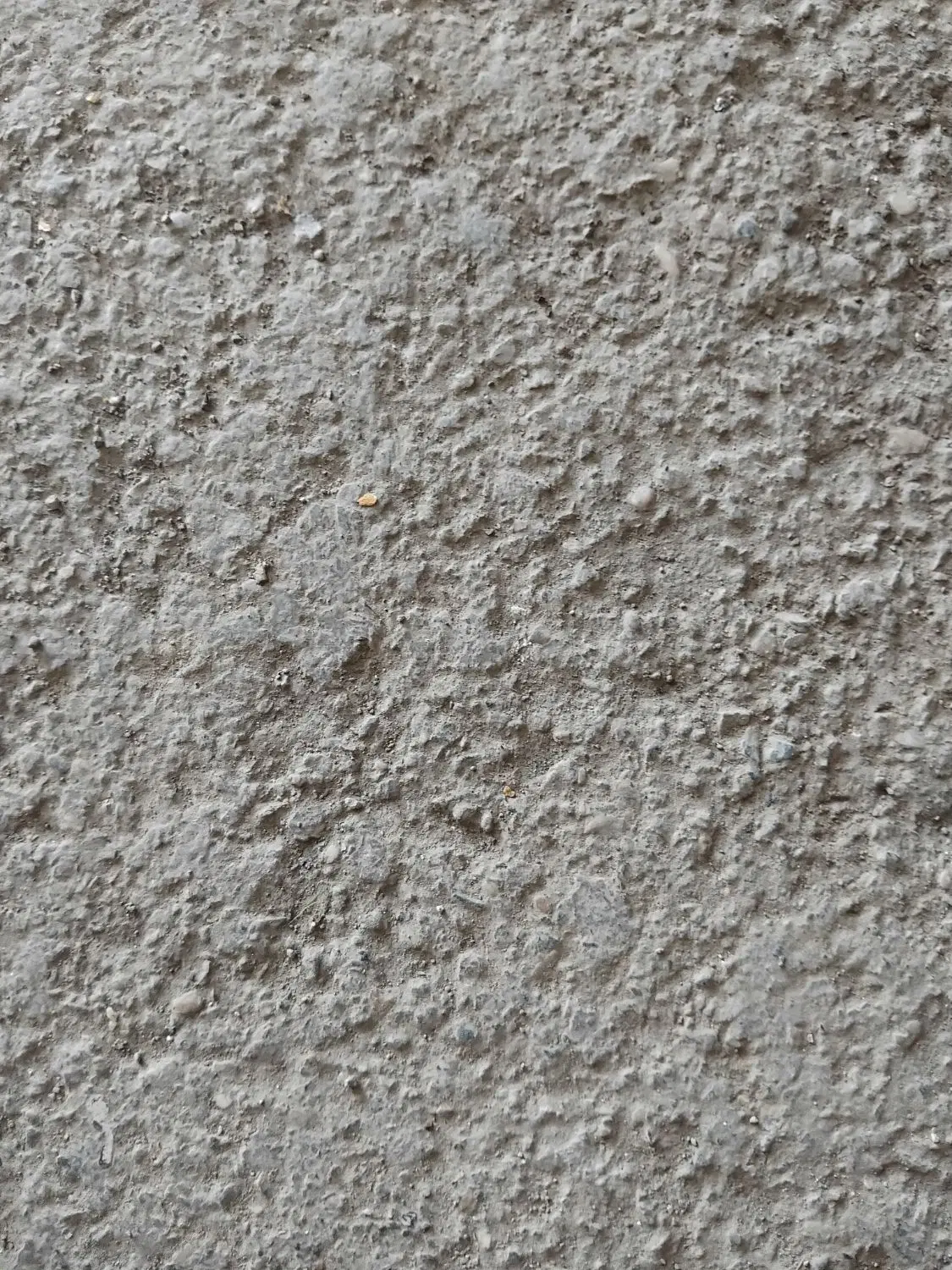 حیاط خانه در اسلام آباد کوهنورد خیابان اخلاص