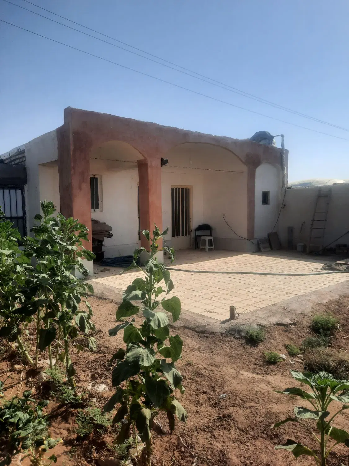 باغ نوش آباد