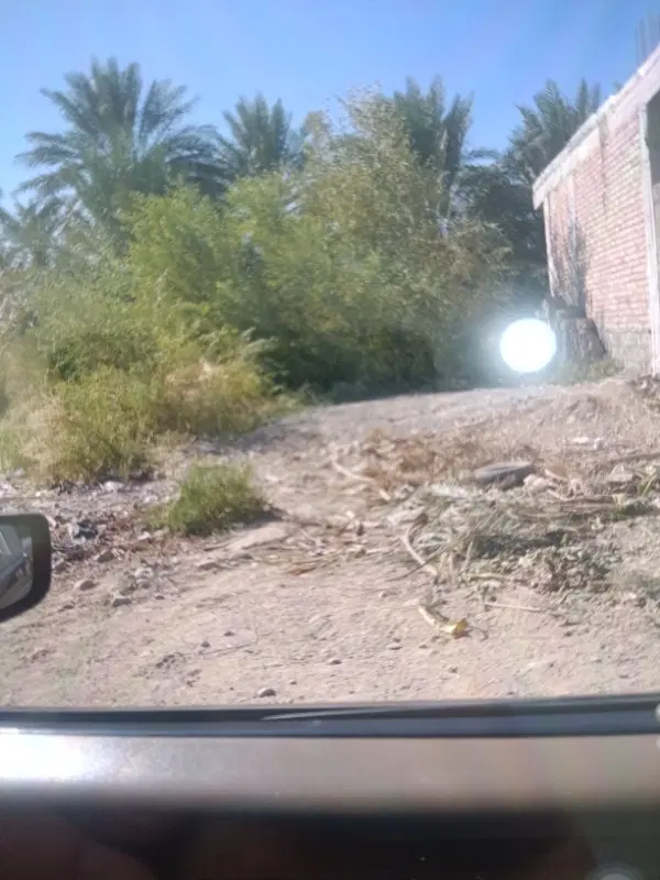فروش زمین بهجرد