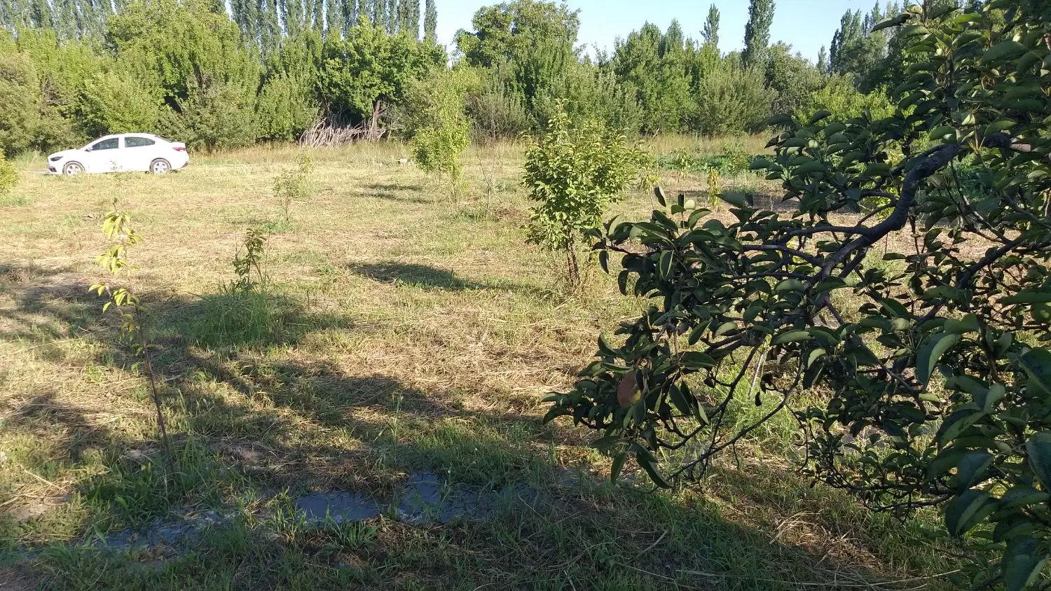 باغچه ۹۷۵ متر کیلومتر ۱۳ جاده سنتو