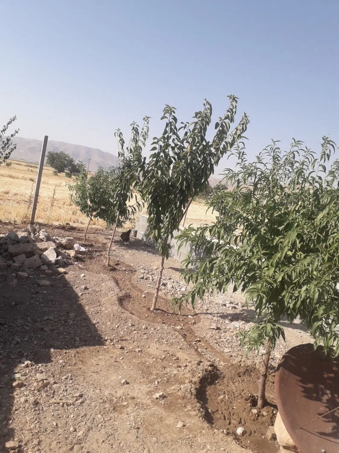 یکباب منزل مسکونی در روستای چغادون