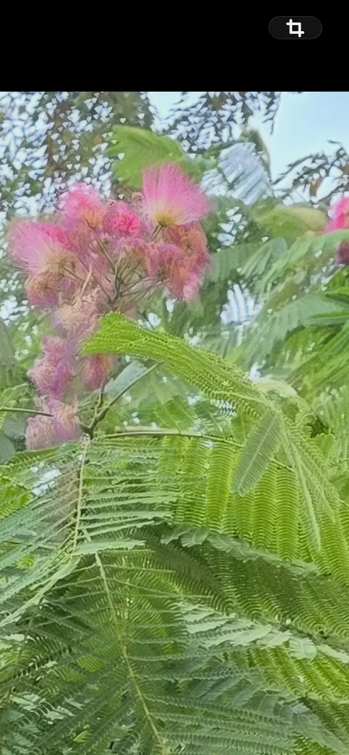 فروش باغچه در حاده سلماس روبروی فرودگاه