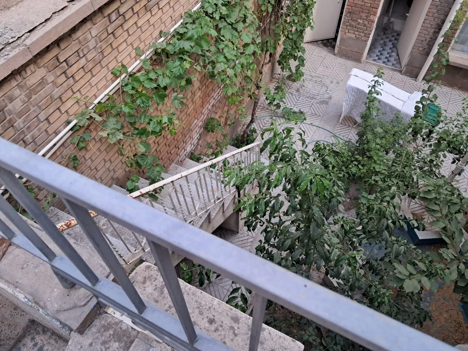 نصف سهم کل یک ملک مسکونی