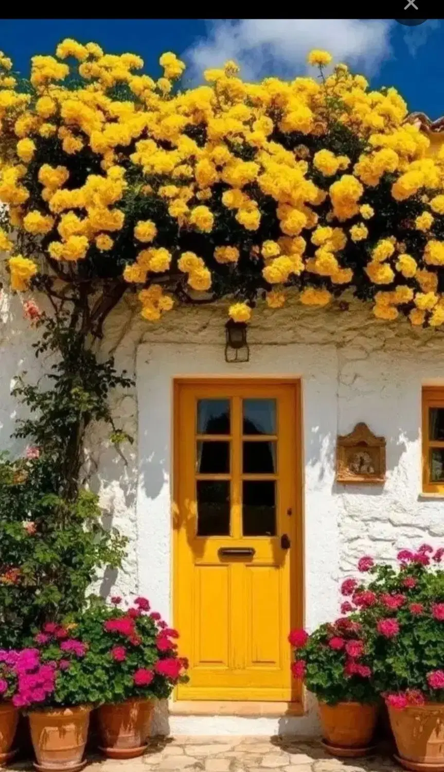 آپارتمان۲خوابه۱۱۲مترفدک شهرک ولیعصر