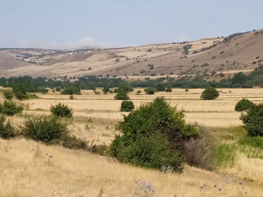 زمین کشاورزی