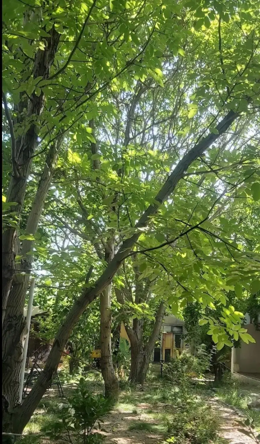 باغچه دنج دربهشت طالقان