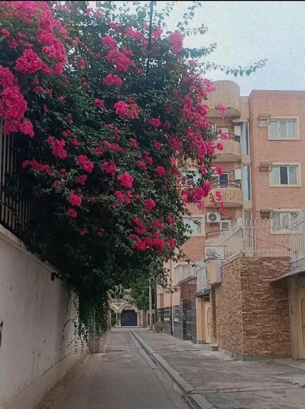 همخونه میشم خونه ندارم هم خانه