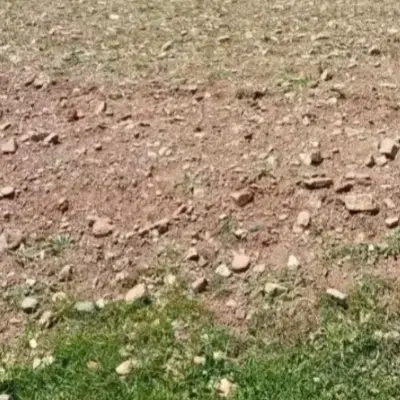 ۲۲۰ متر زمین شهرک ولایت فقط ۲۷۵ تومن