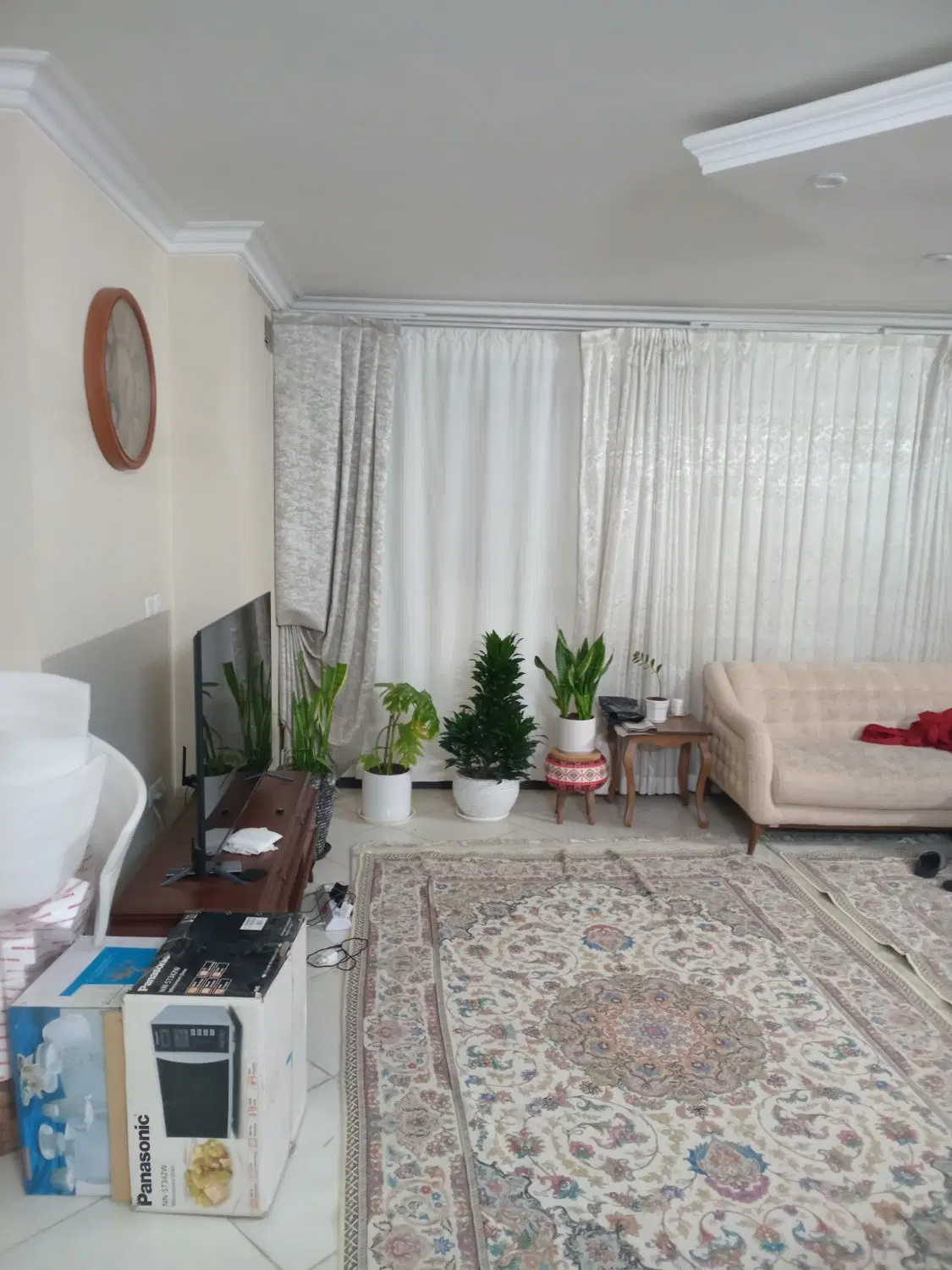 دوخواب برخیابان اصلی معیاد