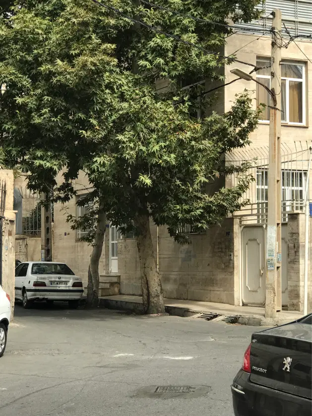 ۲۳۳ متر بر ۱۴ متر جنوبی بافت فرسوده