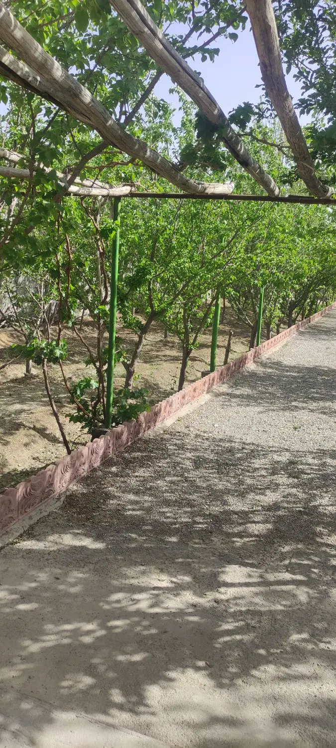 باغ 1100متر با  درخته ثمری