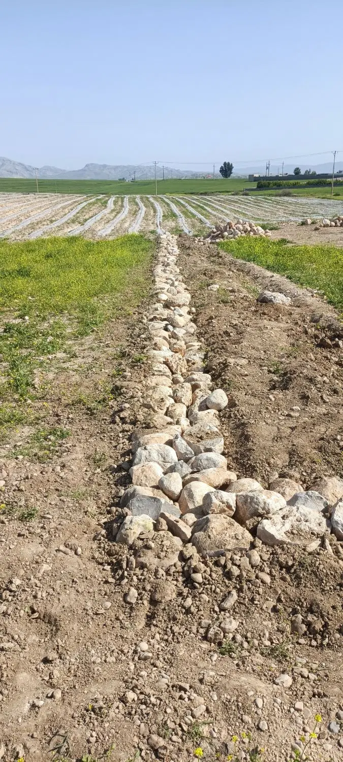 زمین فروشی بین روستای نوترکی طهماسبی و مختاری