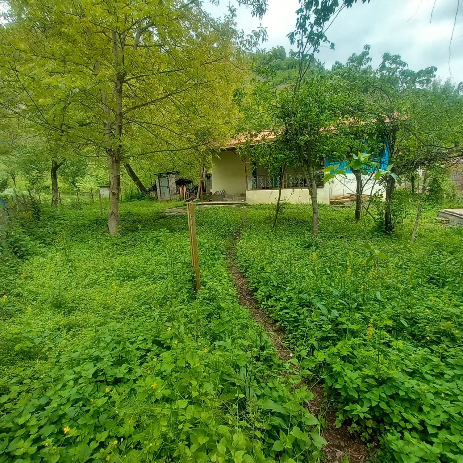 فروش ملک و زمین روستایی  با امکانات