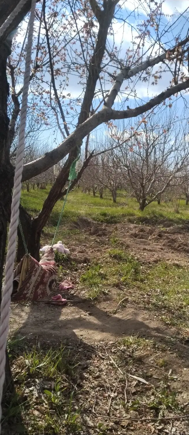 زمین زراعی 500مترتازه کندقشلاق