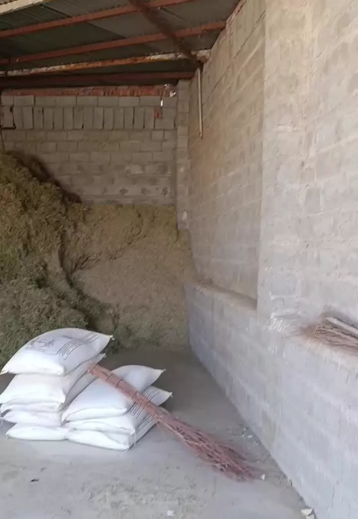 گاوداری بایک هکتار زمین آبی