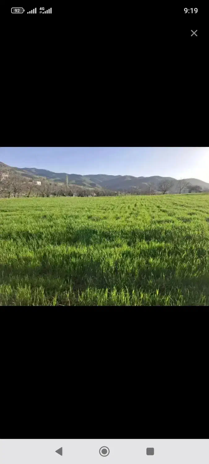 زمین کشاورزی ریخلان روی جاده گاز