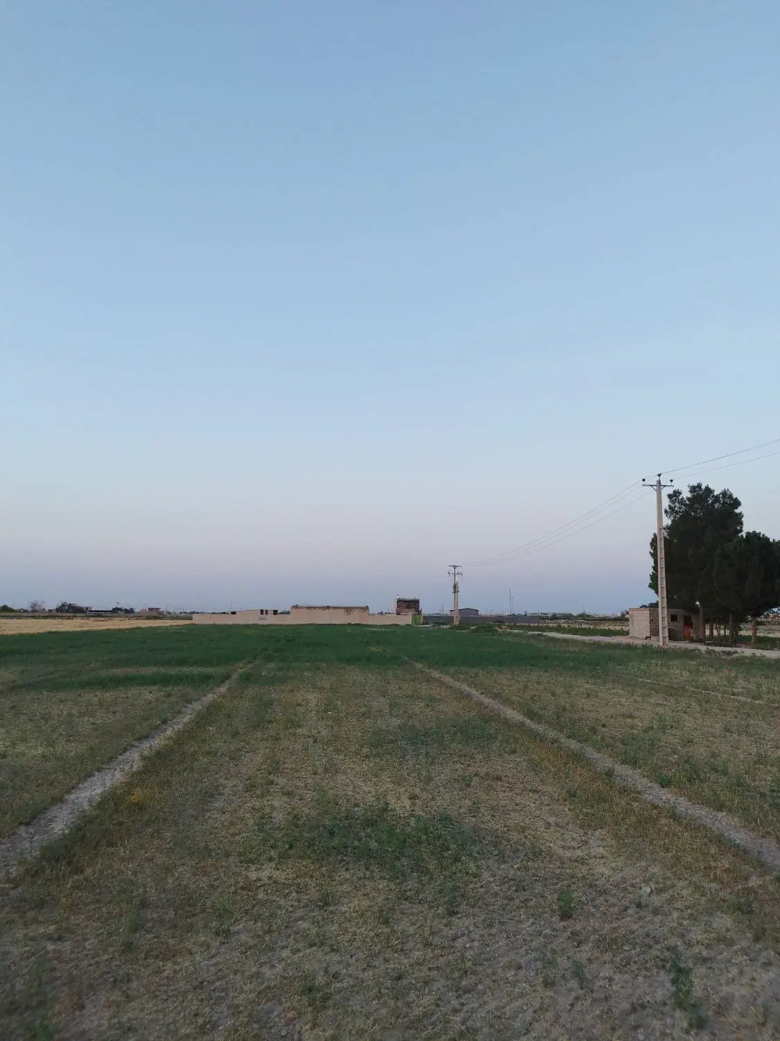 ۱۰۰۰ متر پلاک باغی کروه