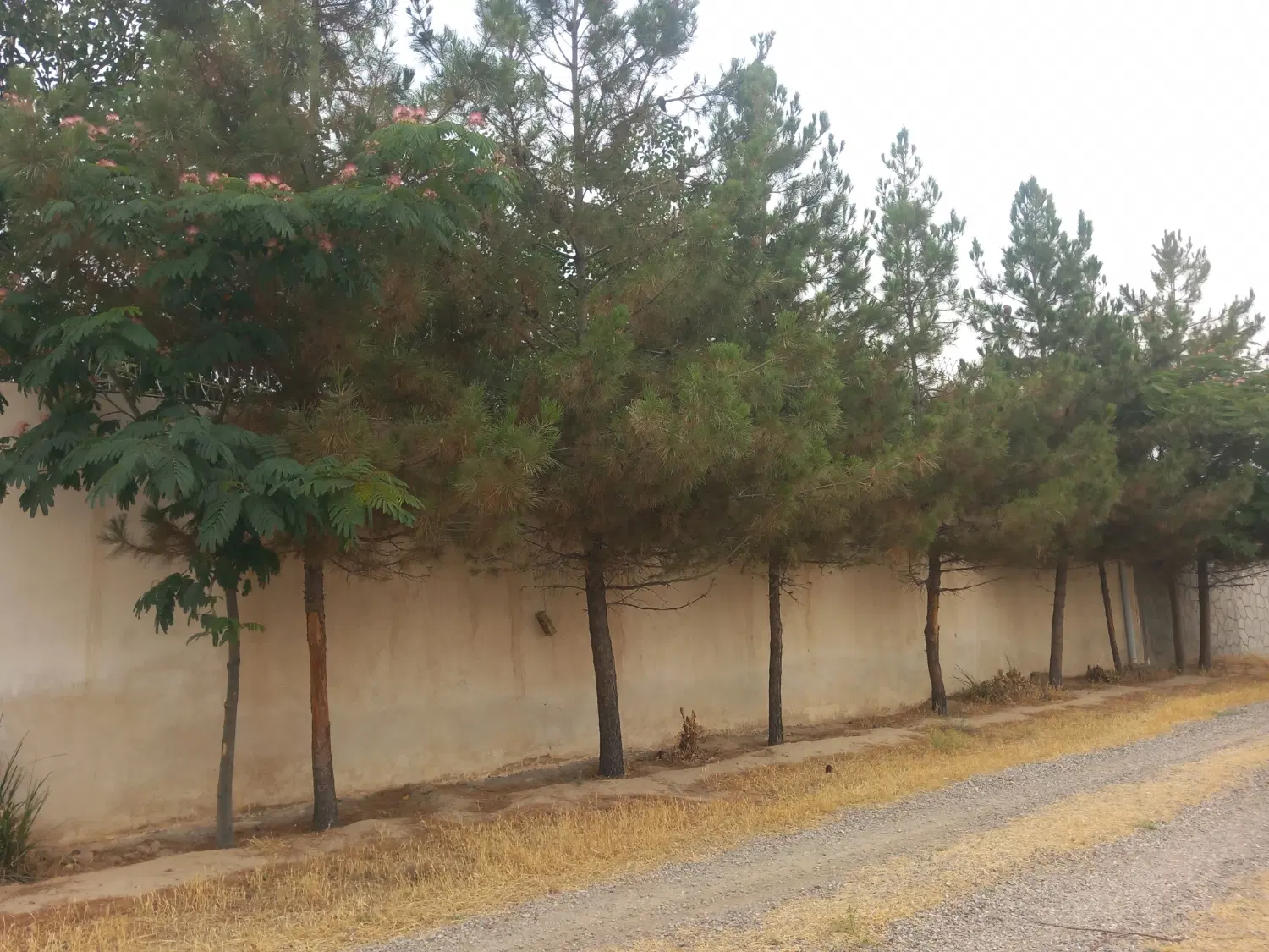 فروش زمین ۳۵۰ متر