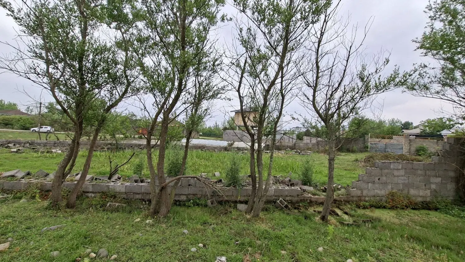 واقعه دشت 568 متری با سند تکبرگ و پروانه ساخت