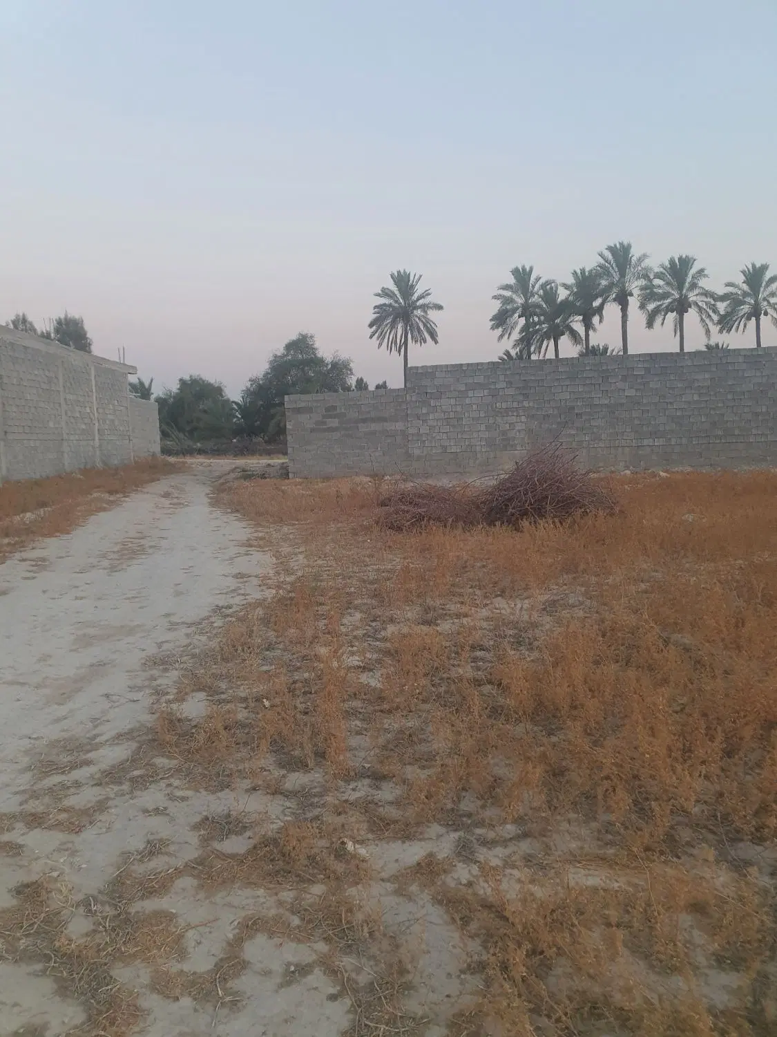 ۴۰۰ متر زمین در برازجان بلوار پیرمرادی