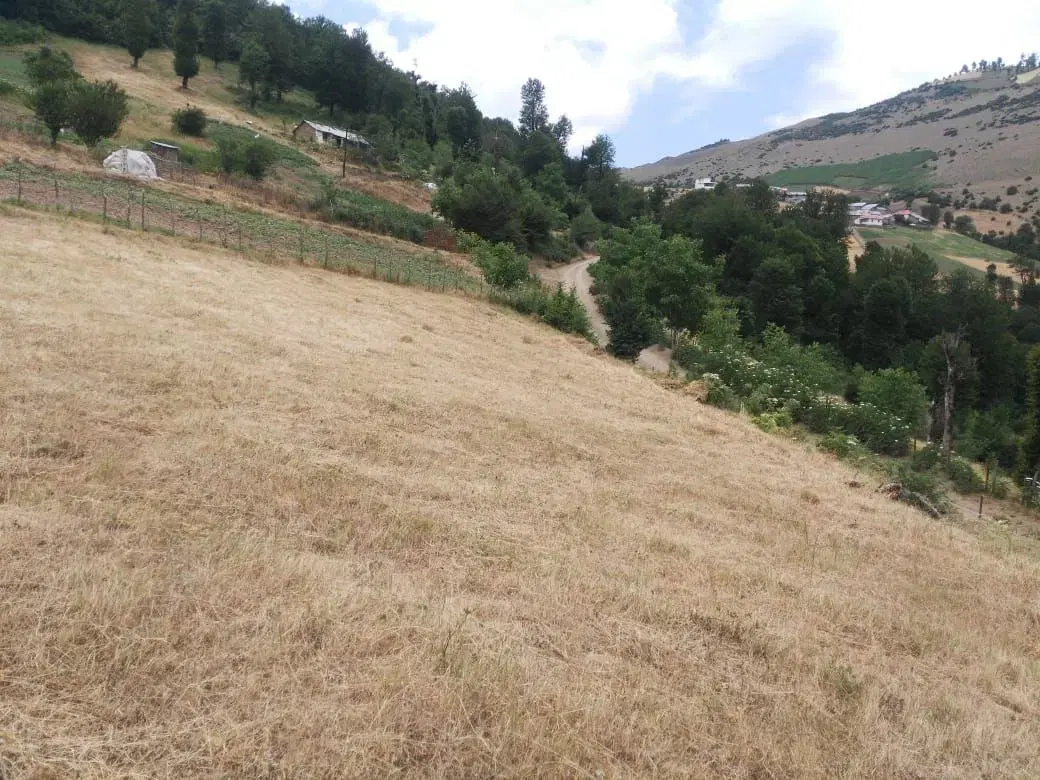زمین به متراژ ۲۰۰متر بهر جاده به فروش می رسد