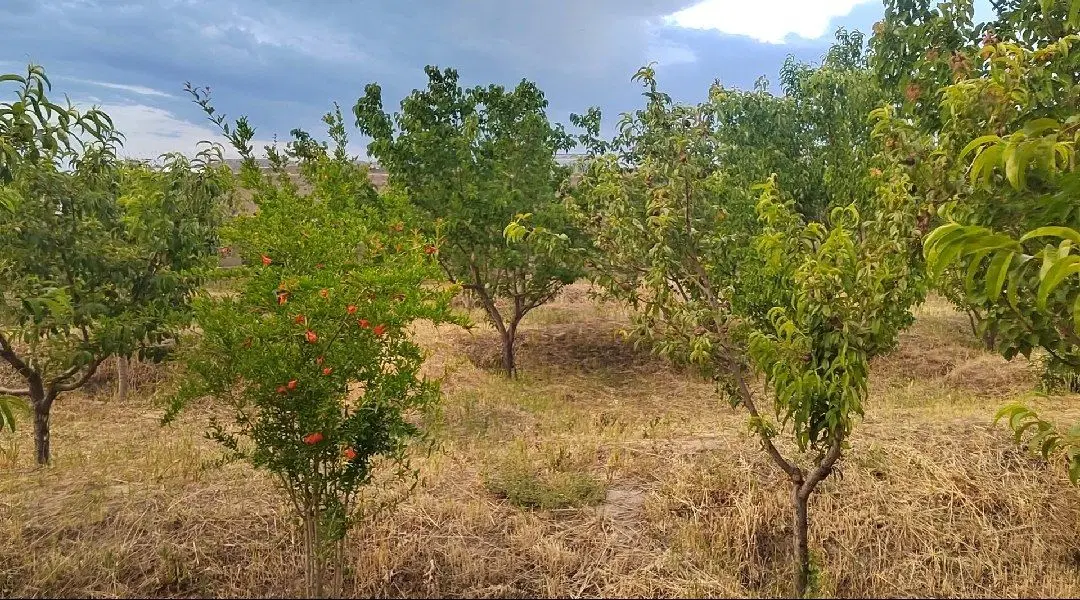 ۴۰۰متر باغچه چهار دیوار دو کله