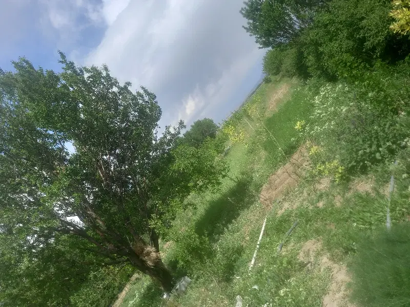 100قصب زمین برای ویلا باغ و گلخانه