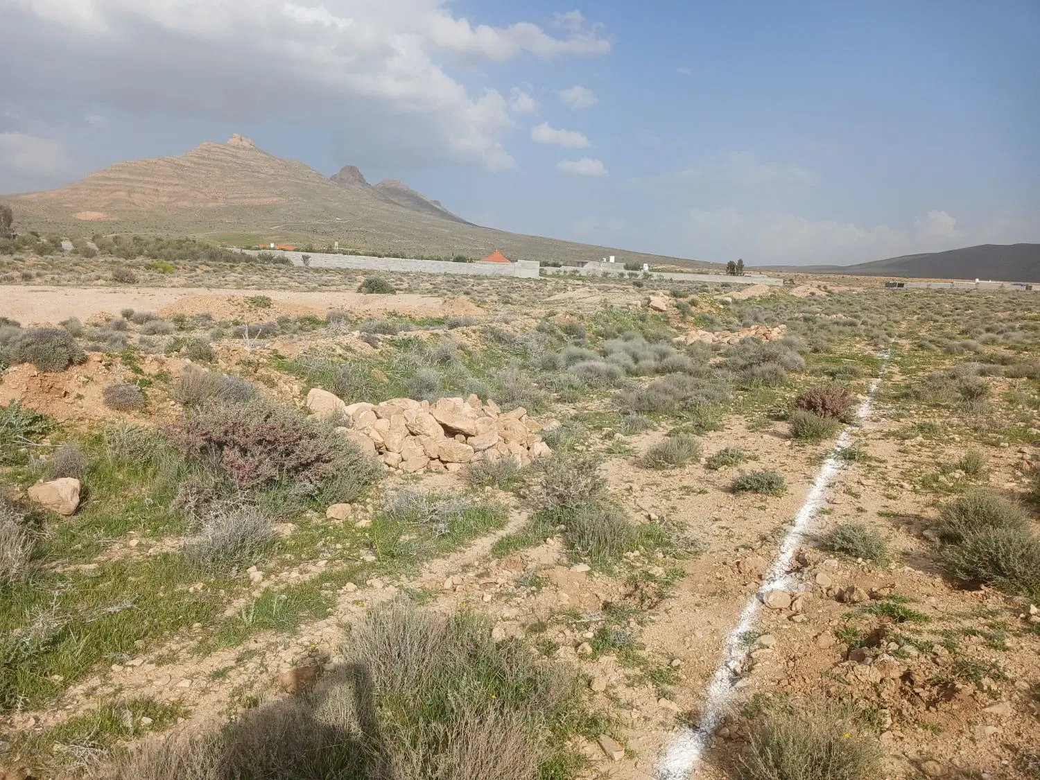 باغ شهری داریون
