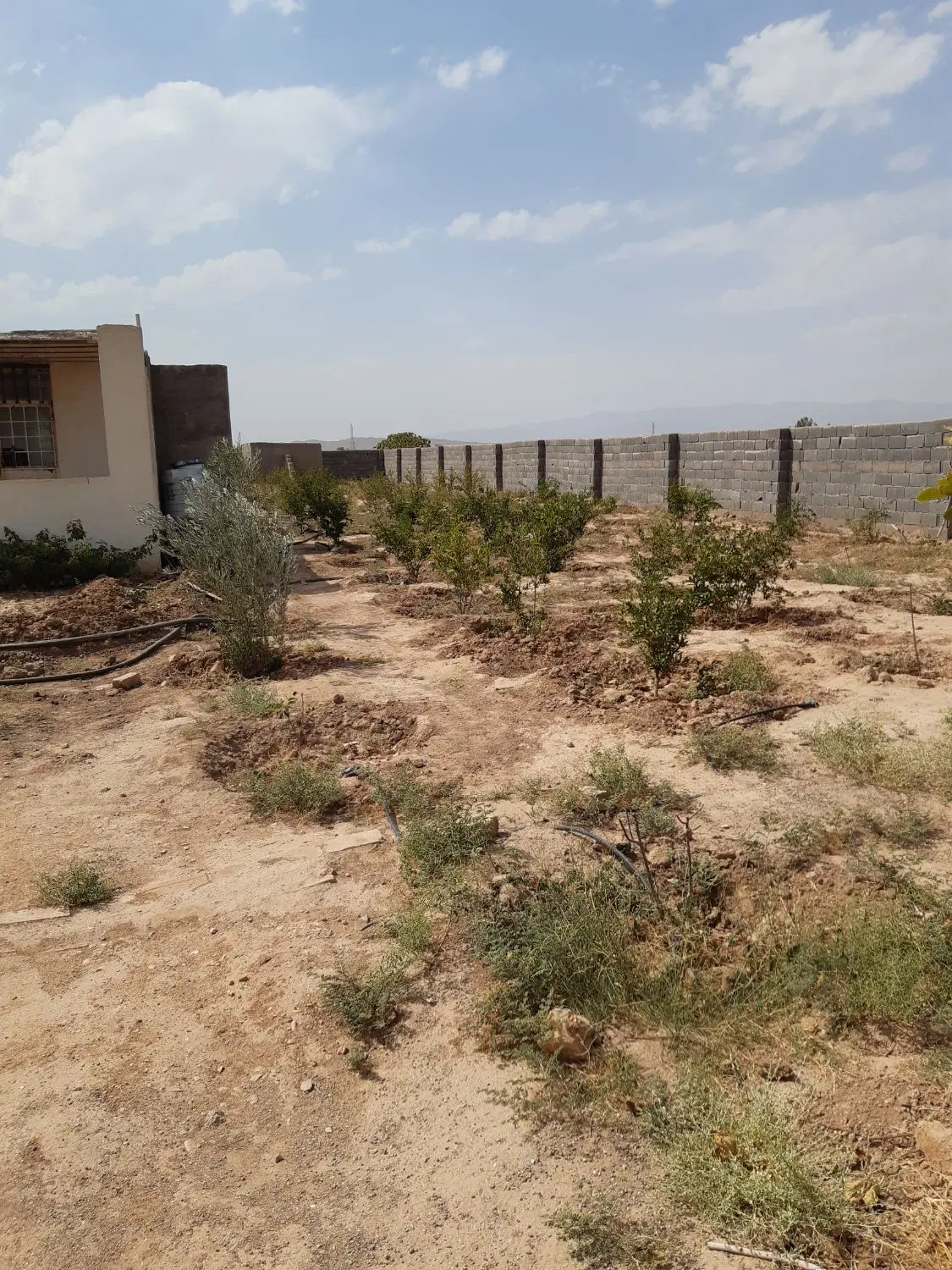 یک قطعه باغ ۴ دیوار روستای بندچای