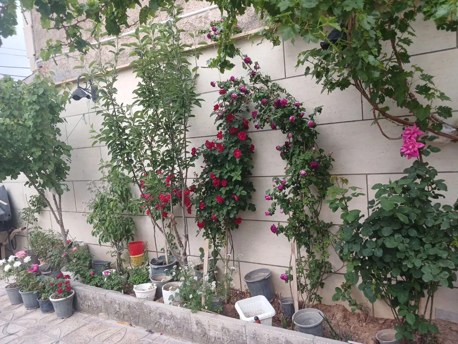 ویلایی ماهدشت
