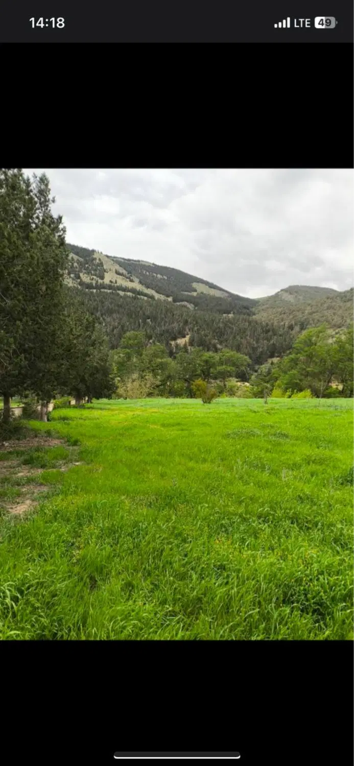 یه هکتار زمین در مرزن اباد