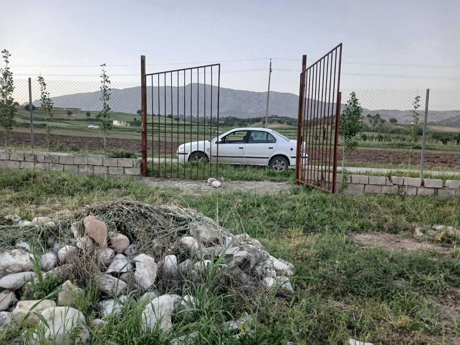 زمین