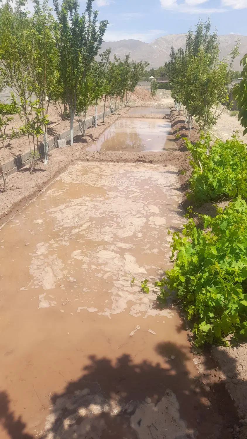 زمین فروشی کوهپایه