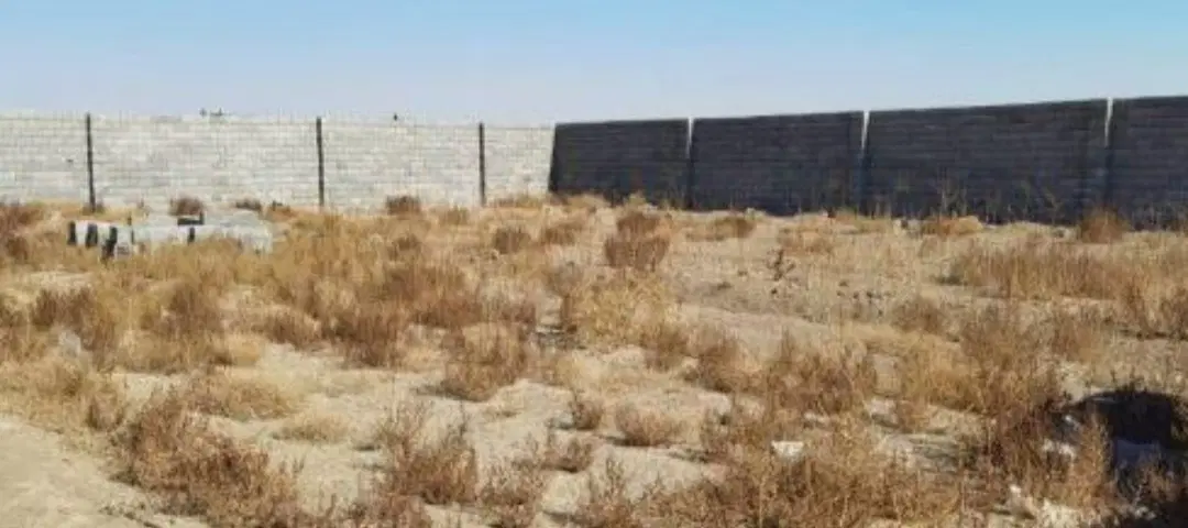 زمین تجاری