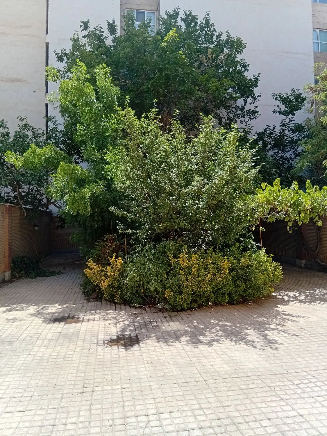 ۱۱۴ متری سه خواب فاز ۲ گوهردشت