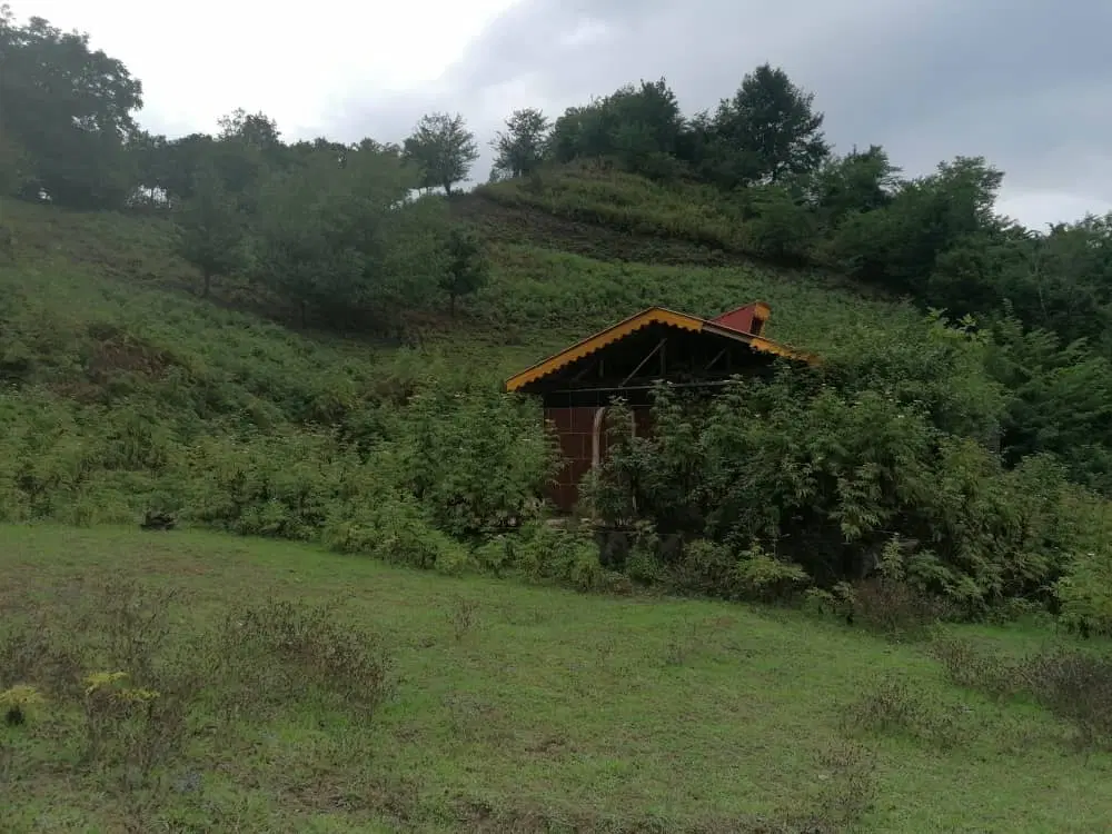 زمین ۷۵۰۰ متری در چوشل