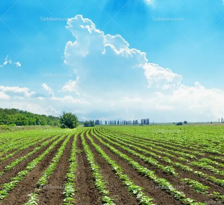 فروش زمین کشاورزی آبی