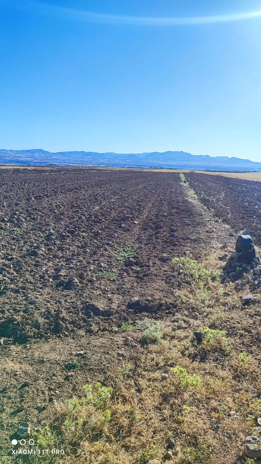 فروش زمین دیمی روستای سارمساقلو