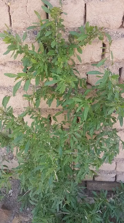 زمین مناسب سرمایه گذاری