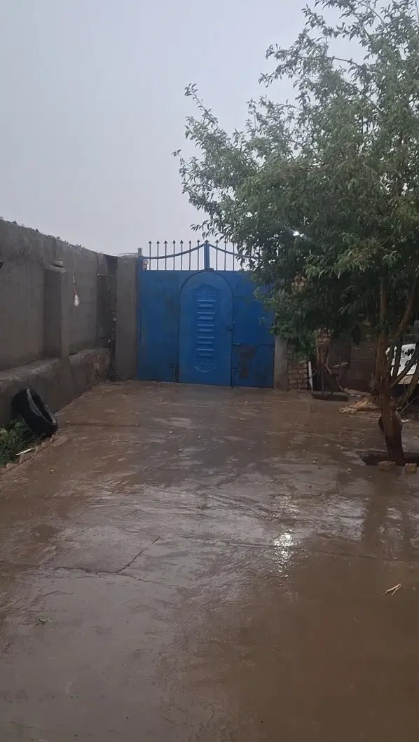 باغ زمین باغچه خونه باغ