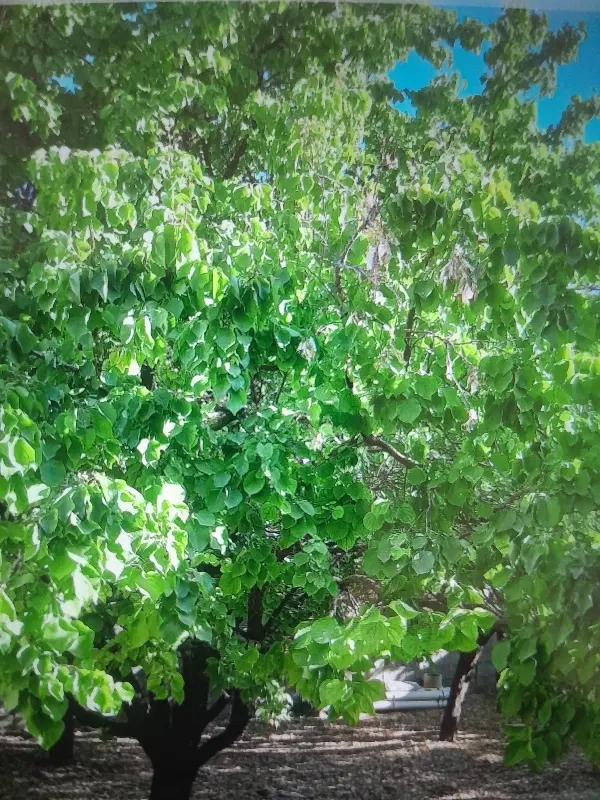 فروش خانه ویلایی
