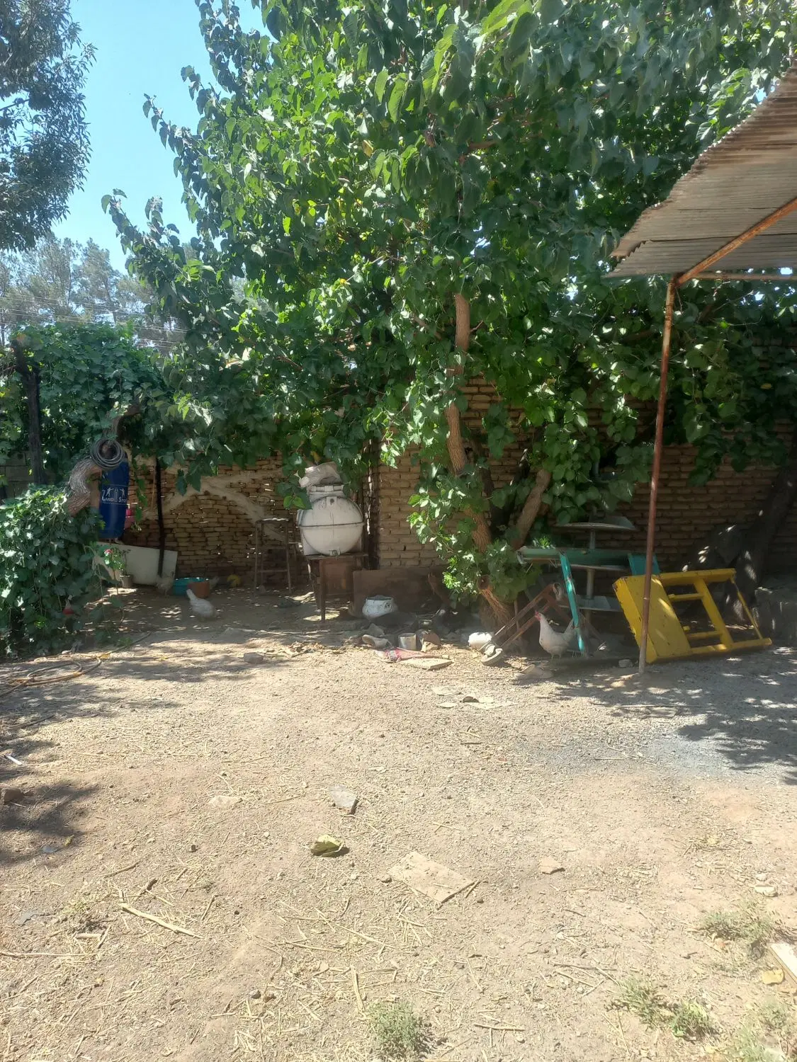 خانه ویلایی کلنگی (باغچه)