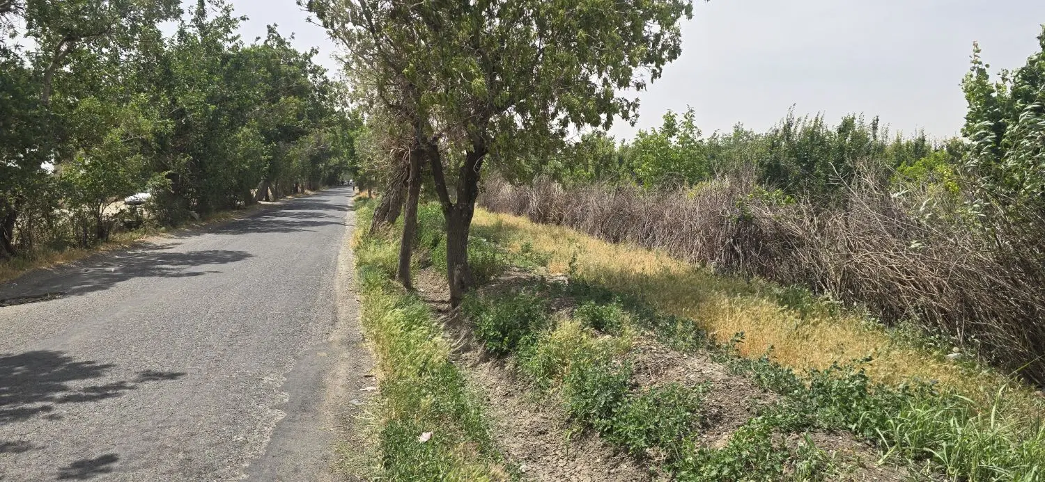 فروش زمین درختی قپچاق بر اصلی سرمایه گذاری