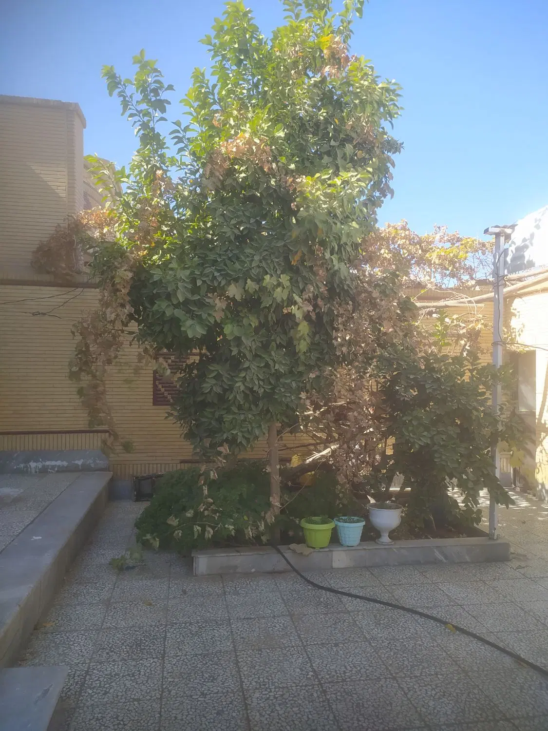 رهن و اجاره منزل همکف معلم 9 بنگاه نوبنیاد