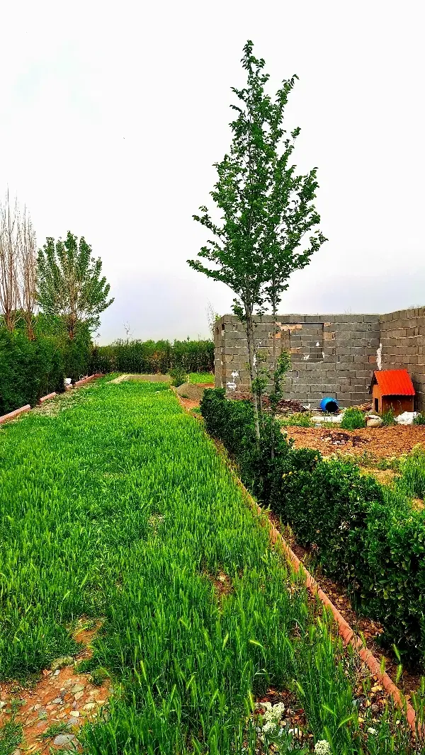 ۳۵۰ متر زمین آماده ساخت