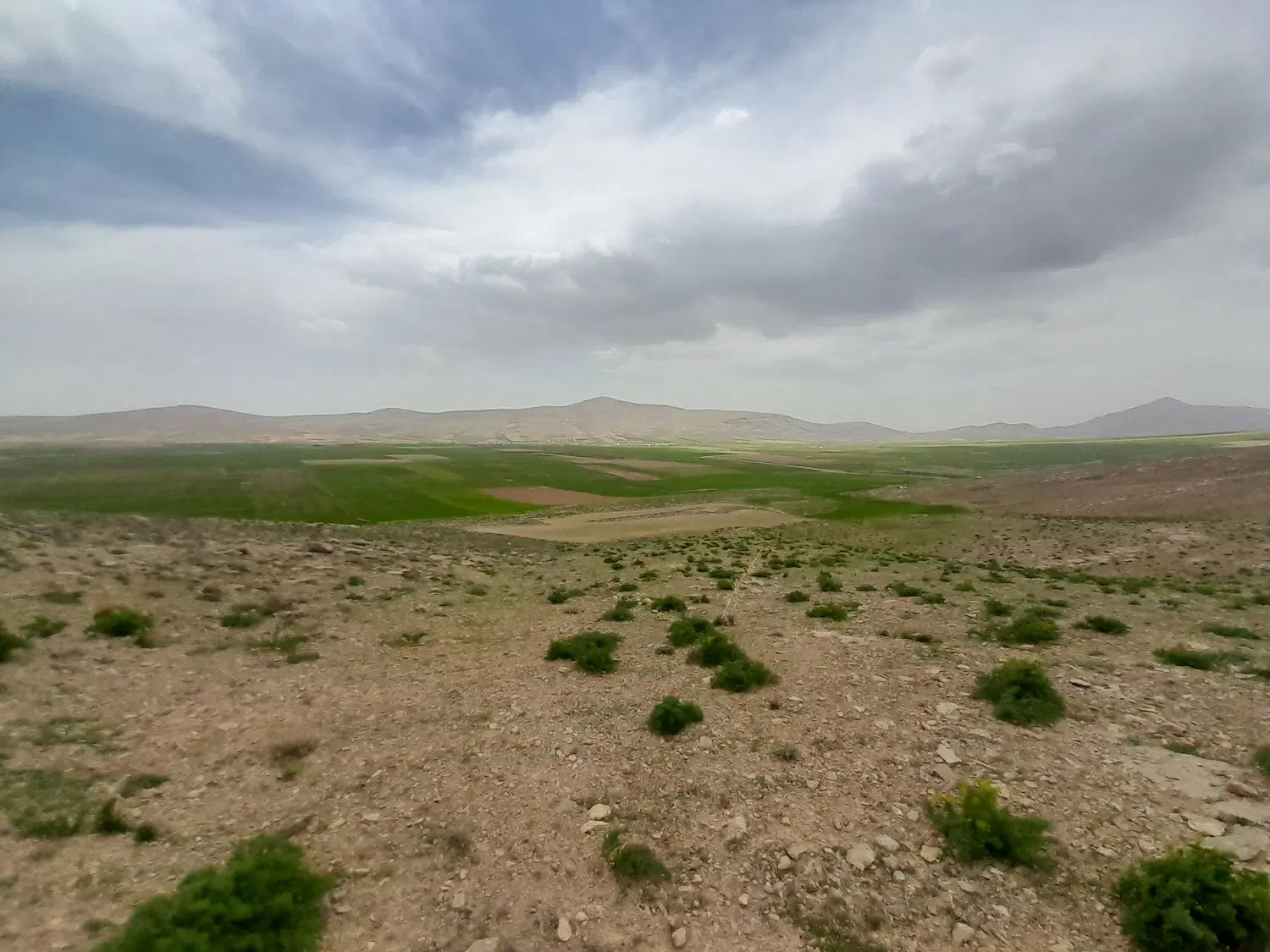 زمین  ۲۰۰متری