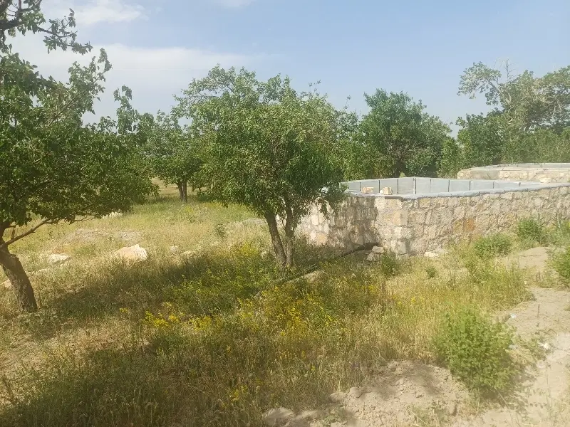 باغ