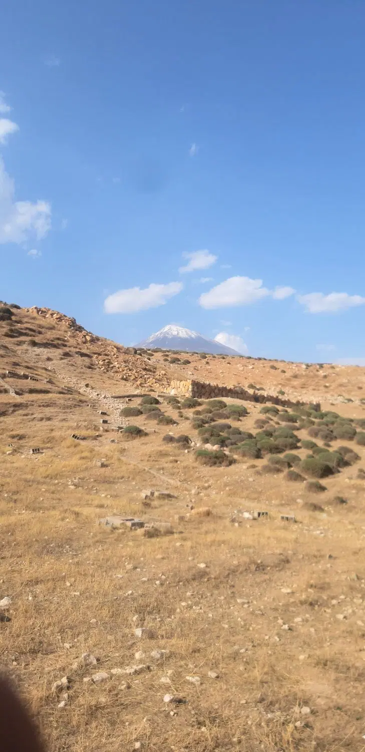 ۲ قطعه زمین ۵۰۰ متری در پلور