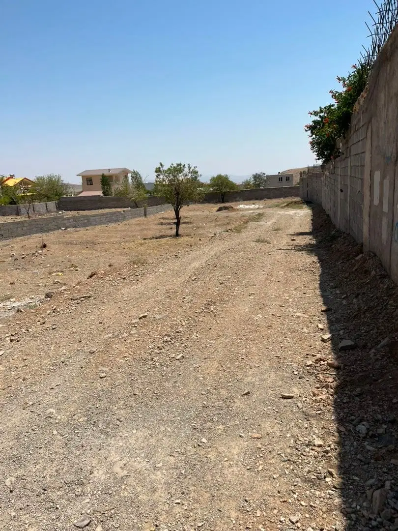 فروش زمین باغی